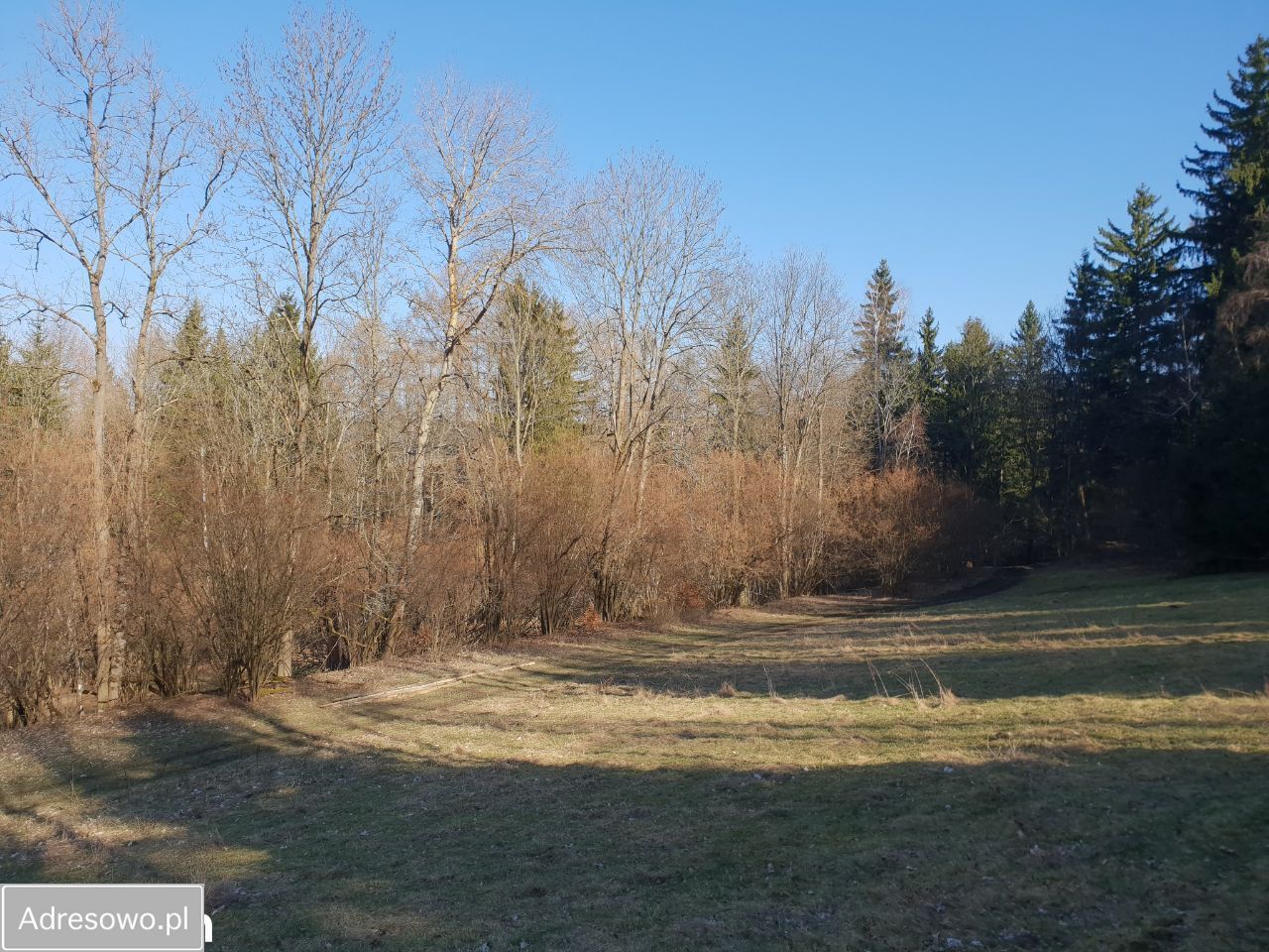 Działka inwestycyjna Konradów. Zdjęcie 14