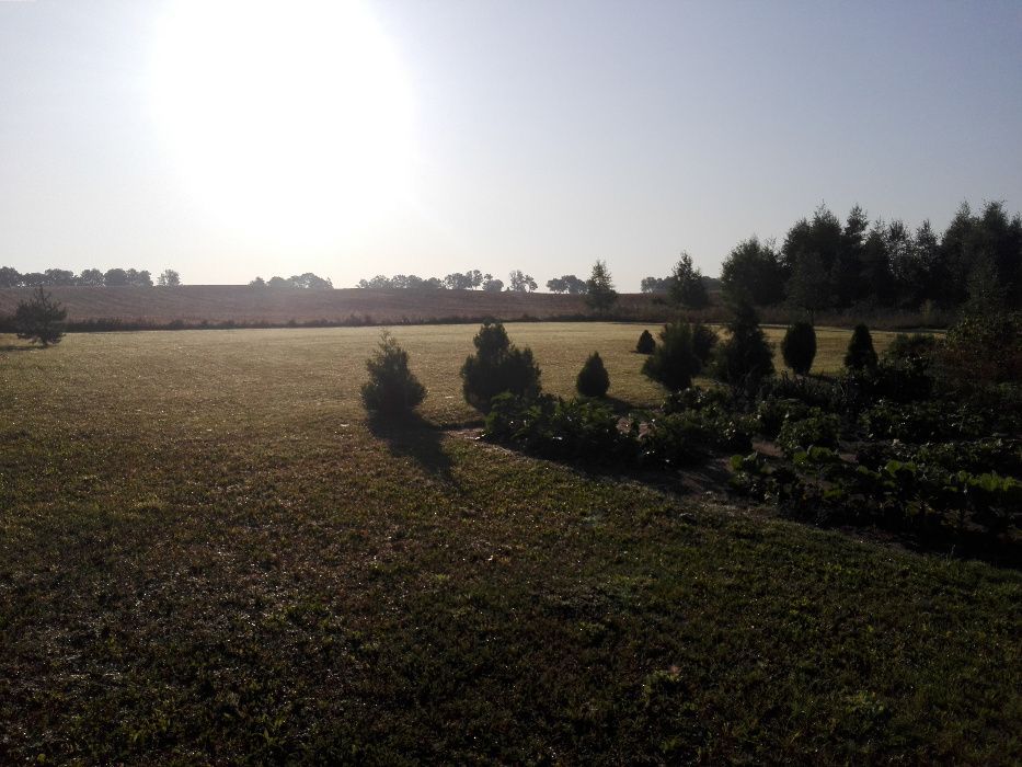 Działka budowlana Żmijewko. Zdjęcie 6