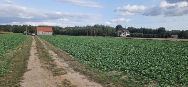 Działka siedliskowa Helenowo Nowe Helenowo-Gadomiec. Zdjęcie 1