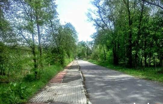 Działka rekreacyjna Adamówek, ul. Pańska. Zdjęcie 17