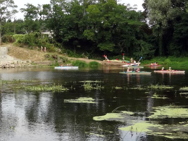 Działka budowlana Bolęcin. Zdjęcie 8