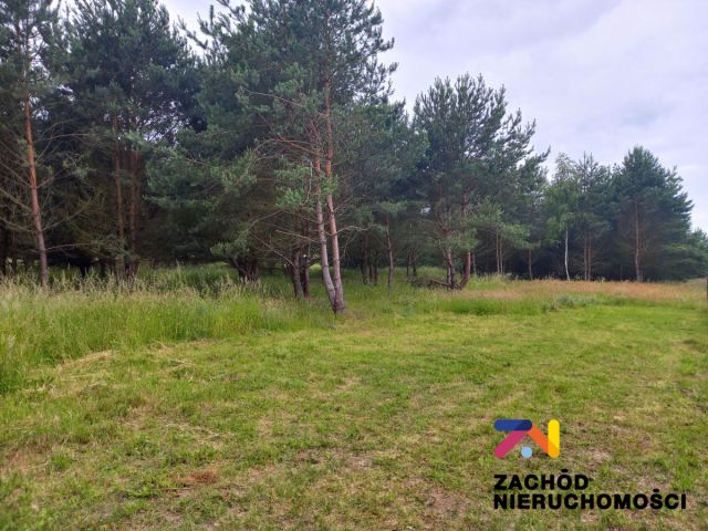 Działka budowlana Zabór. Zdjęcie 3