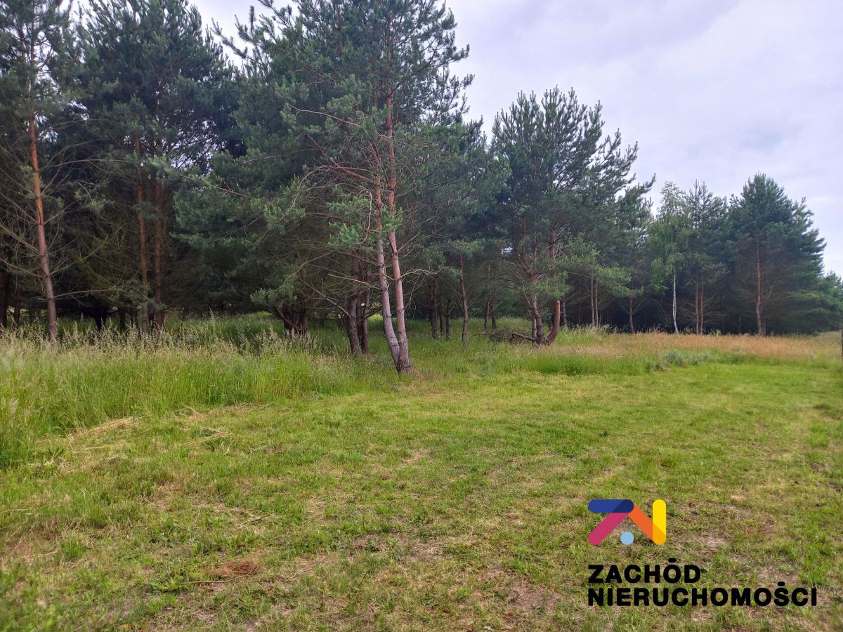 Działka budowlana Zabór. Zdjęcie 3