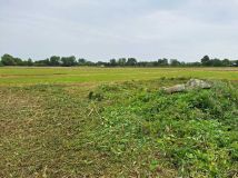 Działka rolno-budowlana Kupienin. Zdjęcie 2