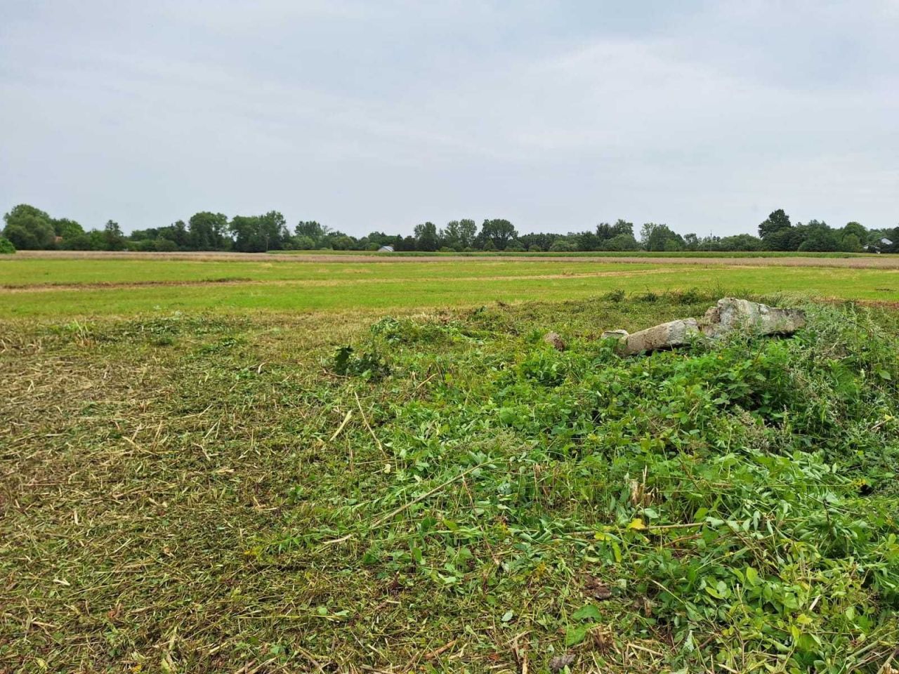 Działka rolno-budowlana Kupienin. Zdjęcie 3