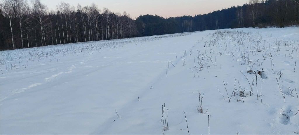 Działka rolna Łokietnica. Zdjęcie 6