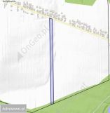 Działka rolno-budowlana Szypowice. Zdjęcie 2