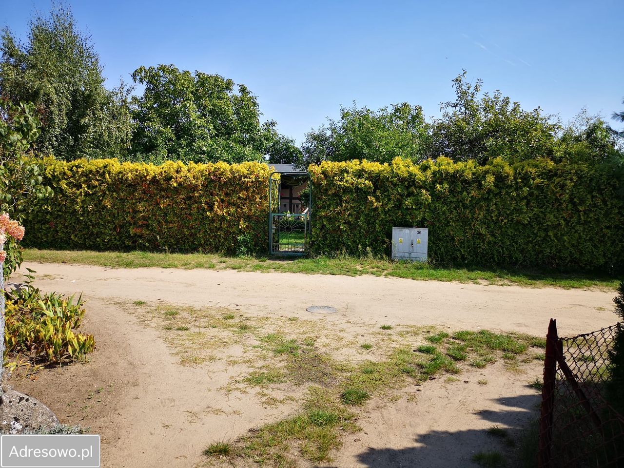 Działka rod Poznań Grunwald, ul. Bukowska. Zdjęcie 7