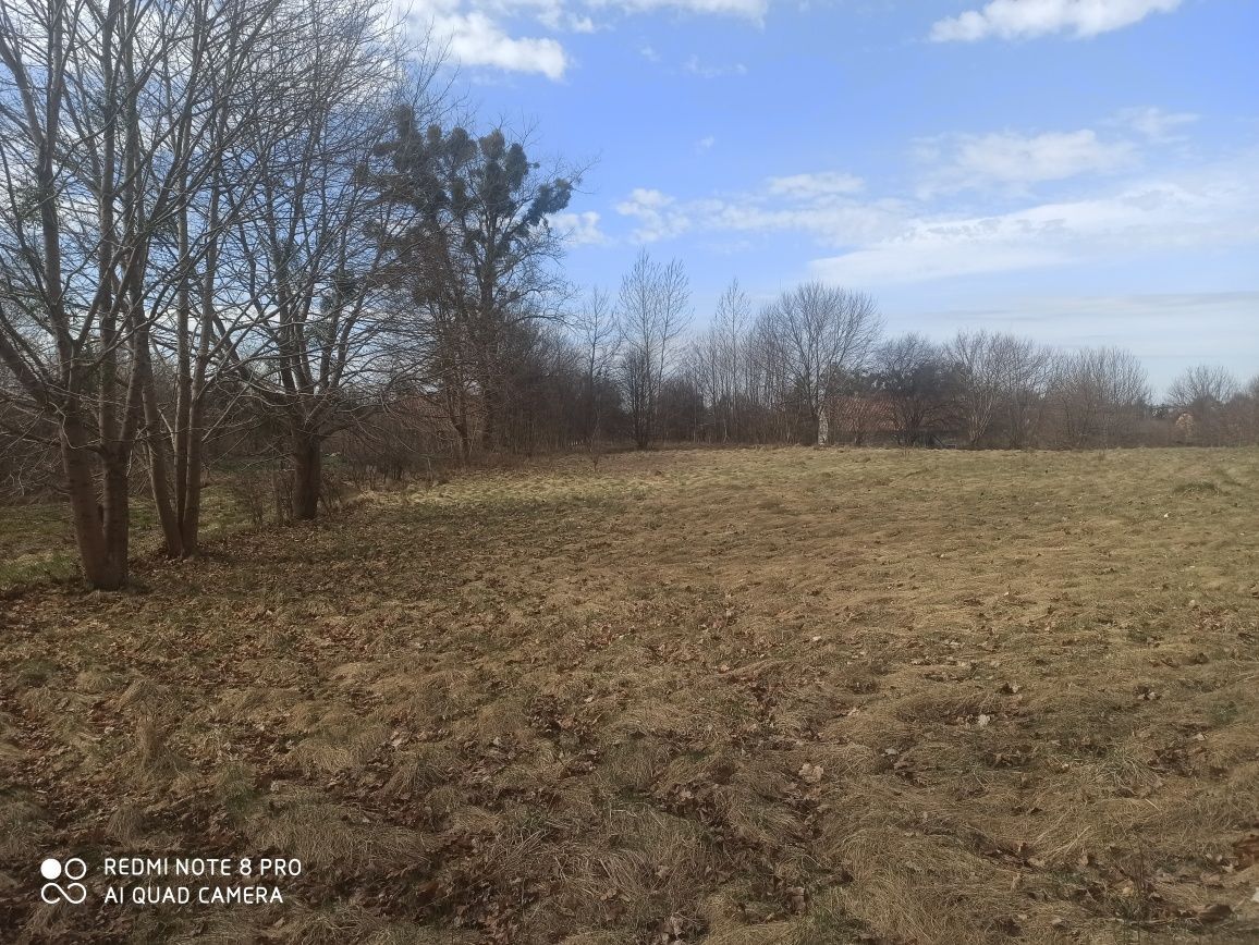 Działka rolno-budowlana Miłomłyn, ul. Ignacego Potockiego. Zdjęcie 1