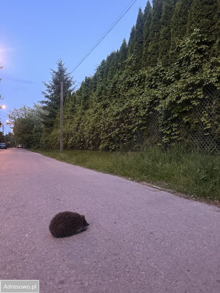 Działka budowlana Warszawa Ursus, ul. Kazimierza Odnowiciela. Zdjęcie 2