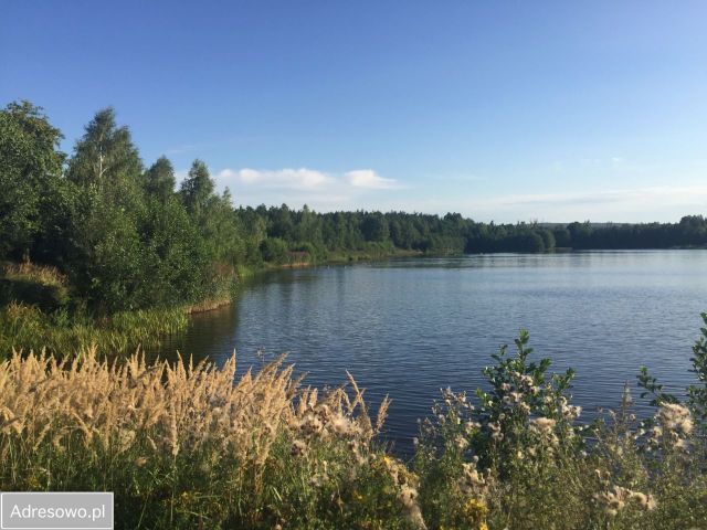 Działka rekreacyjna Koszorów. Zdjęcie 1