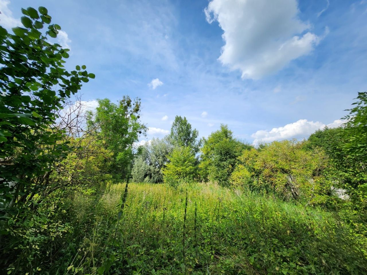 Działka Krowica. Zdjęcie 6