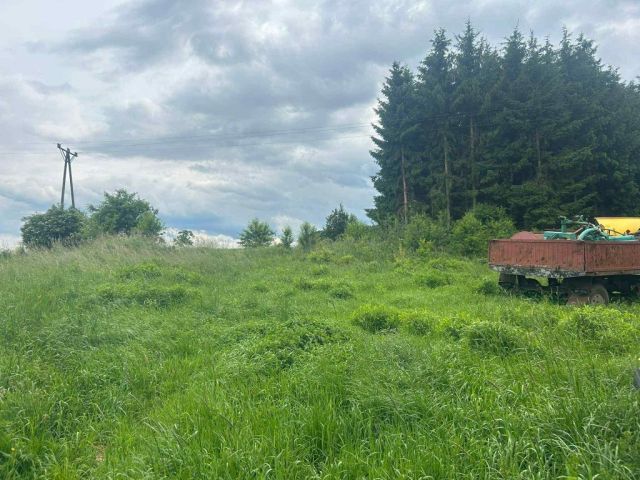 Działka budowlana Henryków Lubański. Zdjęcie 1