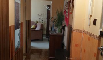 Mieszkanie 3-pokojowe Głogów, ul. Aleja Wolności