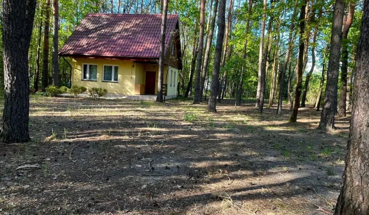 Działka Rudnik