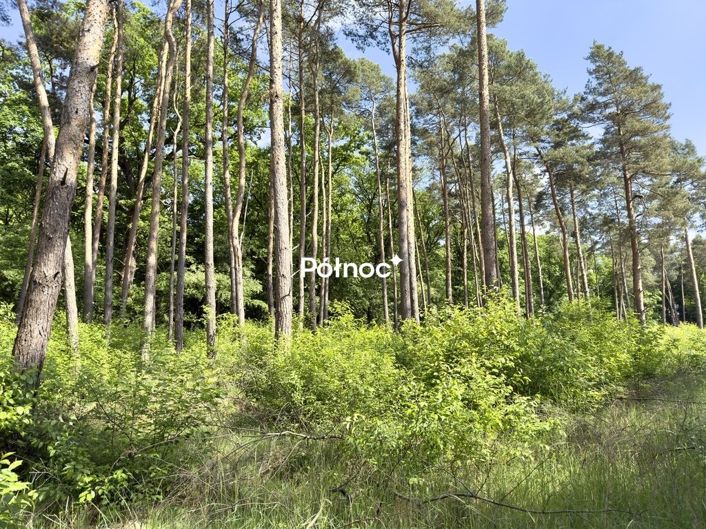 Działka budowlana Kędzierzyn-Koźle Kłodnica. Zdjęcie 12