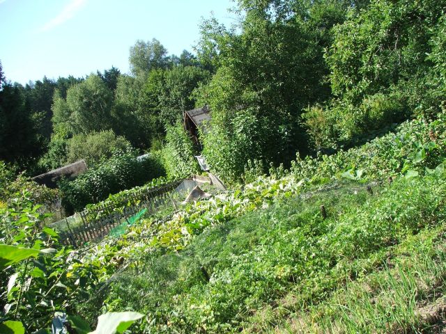 Działka inna Jelenia Góra Centrum, ul. Adama Mickiewicza. Zdjęcie 1
