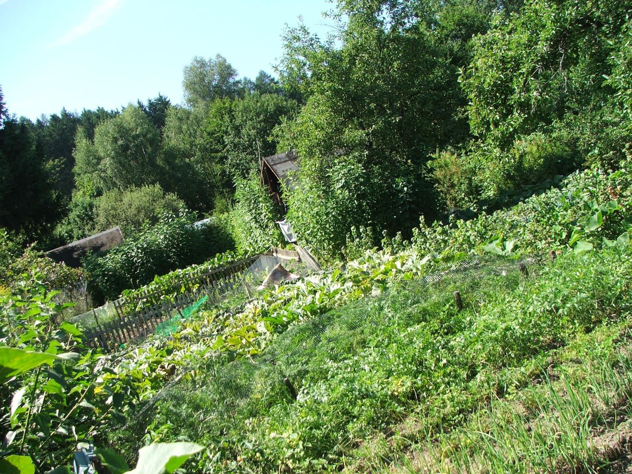 Działka inna Jelenia Góra Centrum, ul. Adama Mickiewicza
