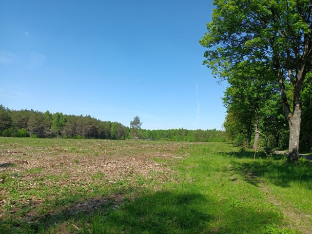 Działka budowlana Darżkowo. Zdjęcie 1