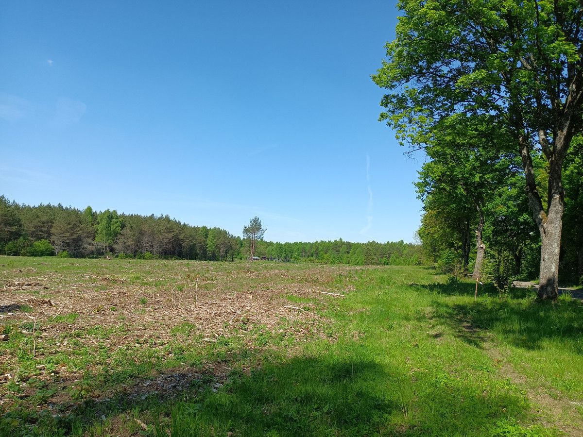 Działka budowlana Darżkowo