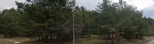 Działka leśna Rudnik nad Sanem, ul. Kończycka. Zdjęcie 4