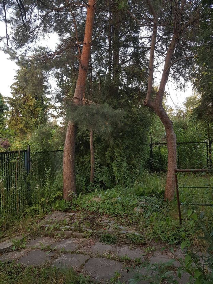 Działka rod Katowice Brynów, ul. Porfirowa. Zdjęcie 7