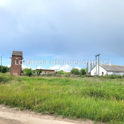 Hala/magazyn Rutwica. Zdjęcie 14