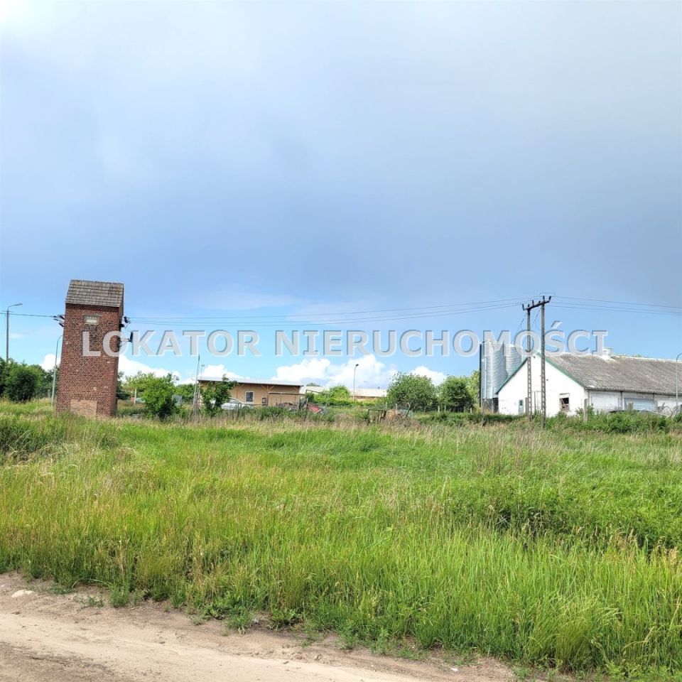 Hala/magazyn Rutwica. Zdjęcie 14