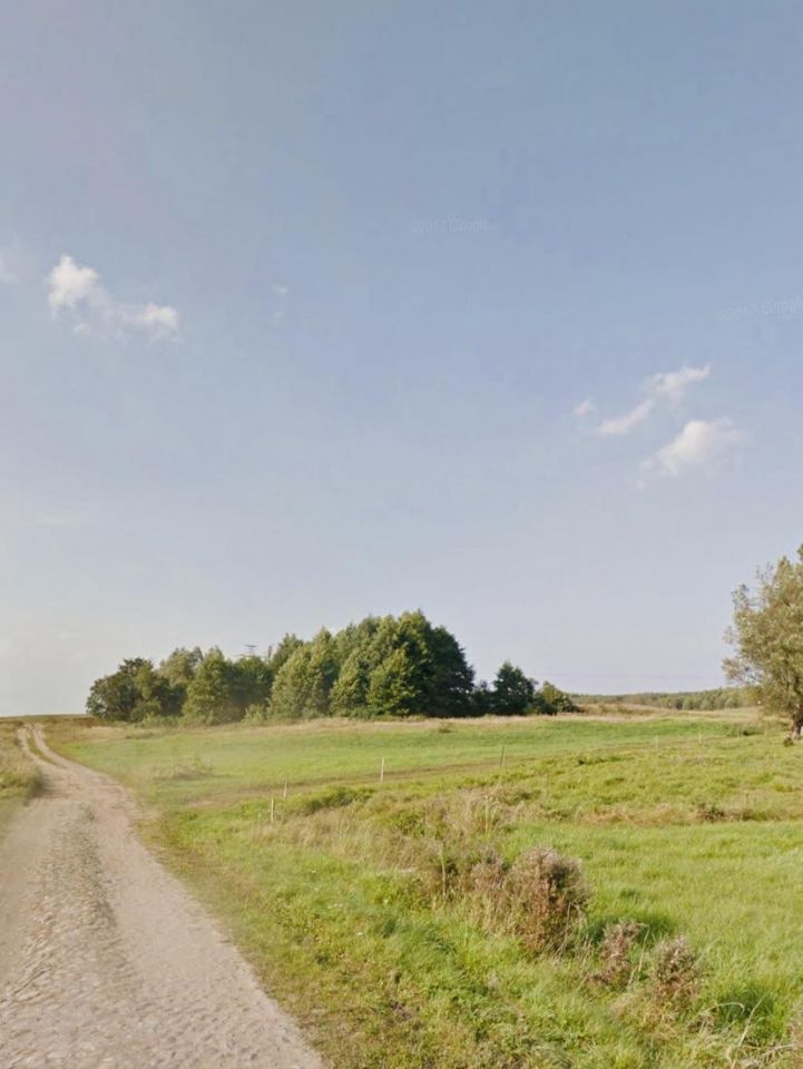 Działka rolna Dalewo. Zdjęcie 9