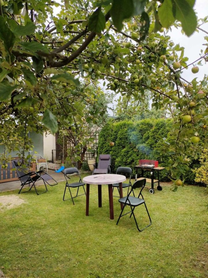 Działka rod Sępólno Krajeńskie, ul. Elizy Orzeszkowej. Zdjęcie 3