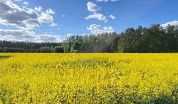 Działka budowlana Winniczka, ul. Leśna