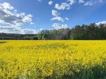 Działka budowlana Winniczka, ul. Leśna