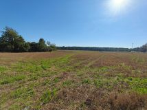 Działka rolno-budowlana Kossobudy. Zdjęcie 3