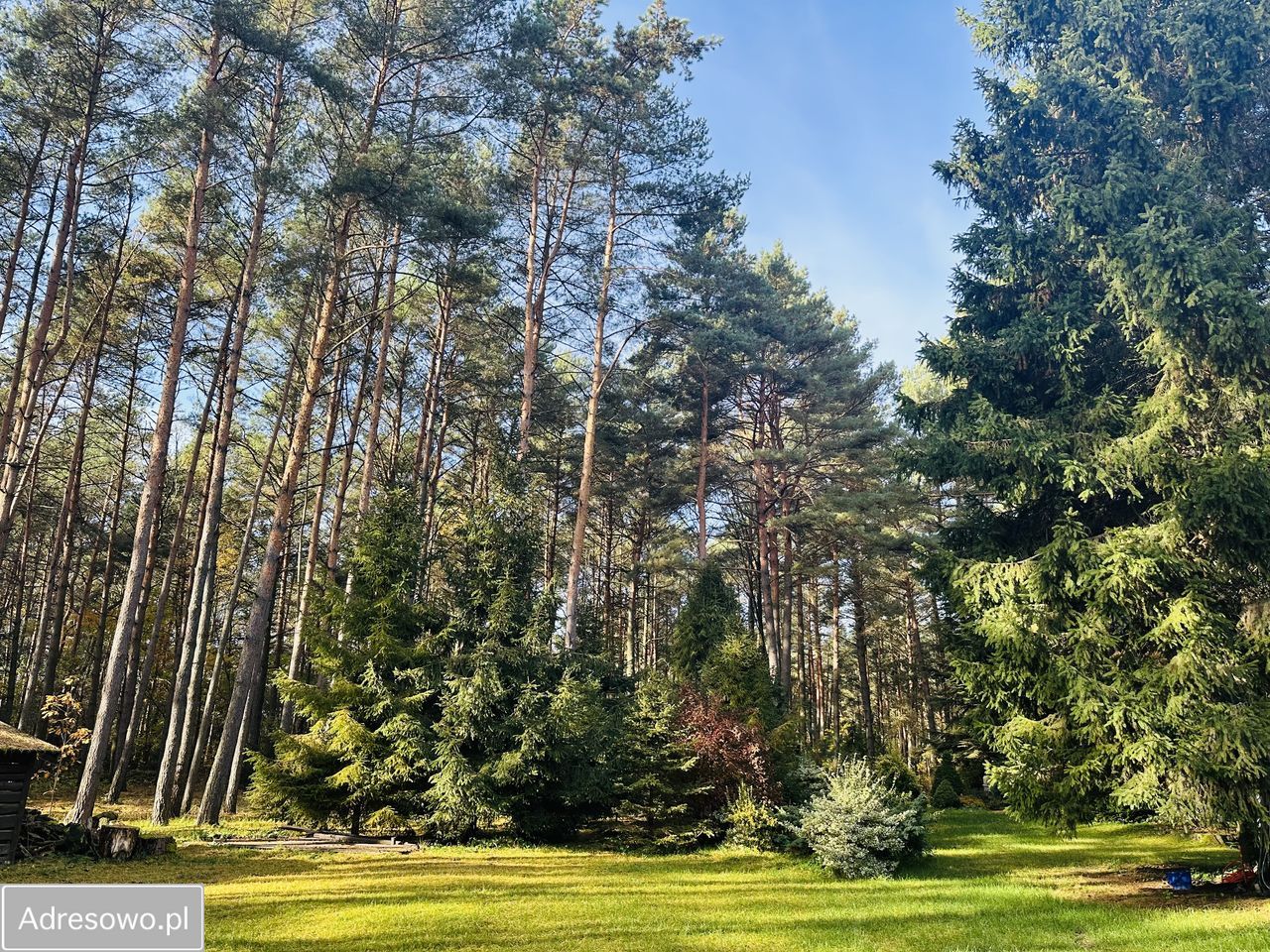 Działka rekreacyjna Ldzań. Zdjęcie 15