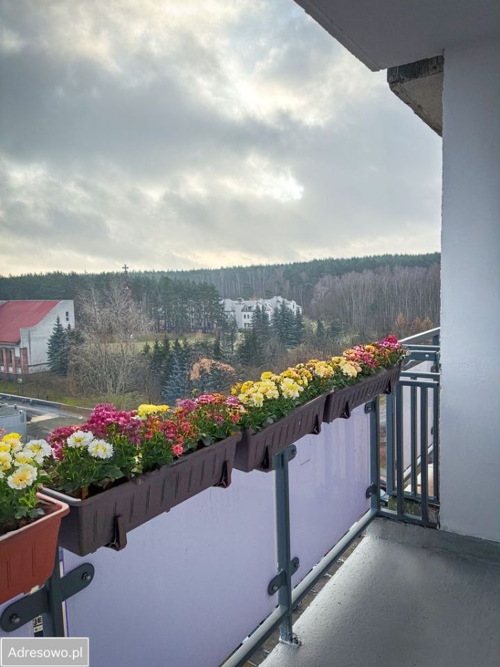 Mieszkanie 2-pokojowe Zielona Góra Centrum, ul. Osiedle Pomorskie. Zdjęcie 6