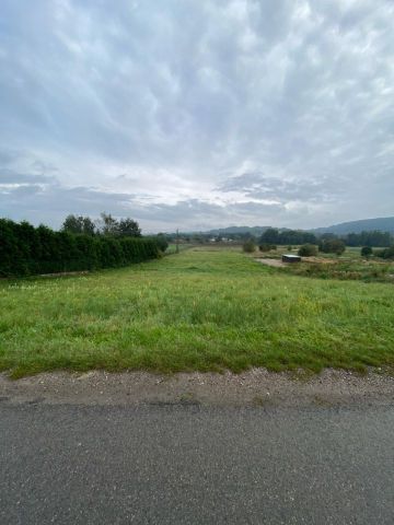 Działka rolno-budowlana Krzeszowice Żbik, ul. Władysława Reymonta. Zdjęcie 1