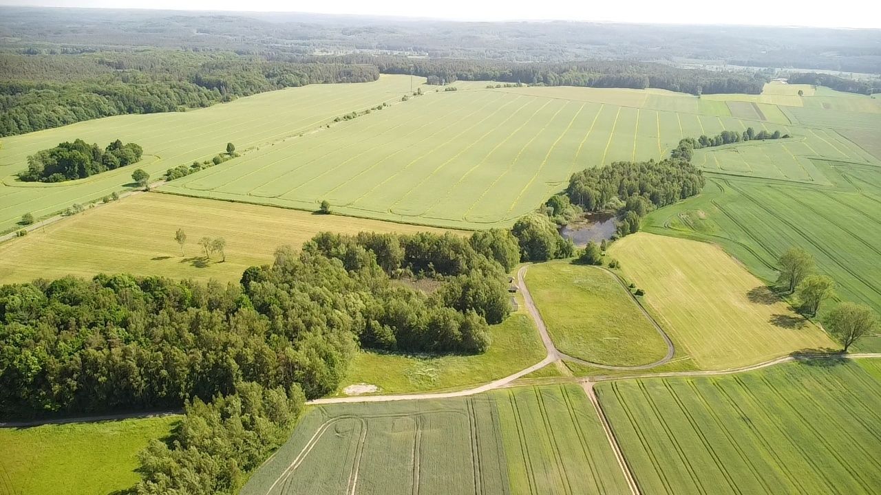 Działka siedliskowa Ostrowiec. Zdjęcie 4