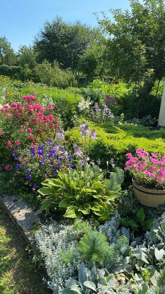 Działka rod Dzierzgoń. Zdjęcie 4