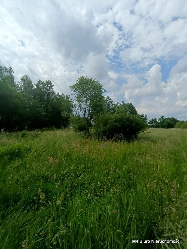 Działka Świerzowa Polska. Zdjęcie 10