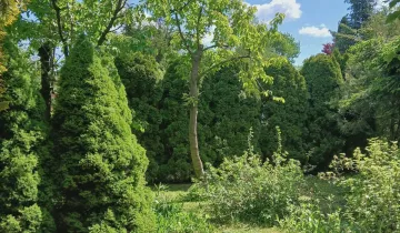 Działka na sprzedaż bez pośredników 
 
 ul. Mazowiecka 
 
 Skierniewice - Widok 5
