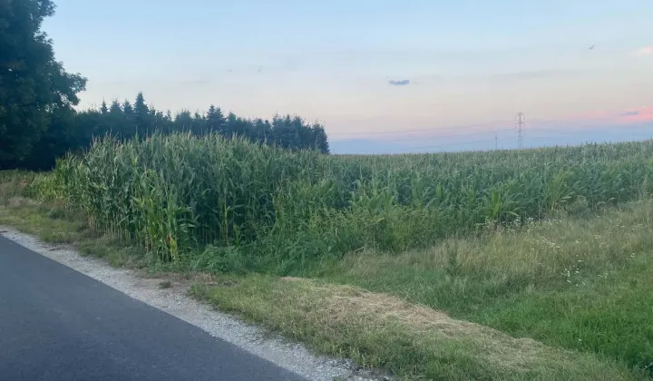 Działka inwestycyjna Dalekie