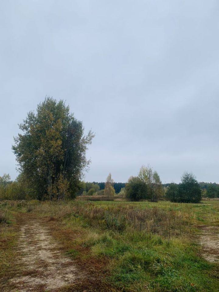 Działka inwestycyjna Baniocha Wilczynek, ul. Wspólna. Zdjęcie 4