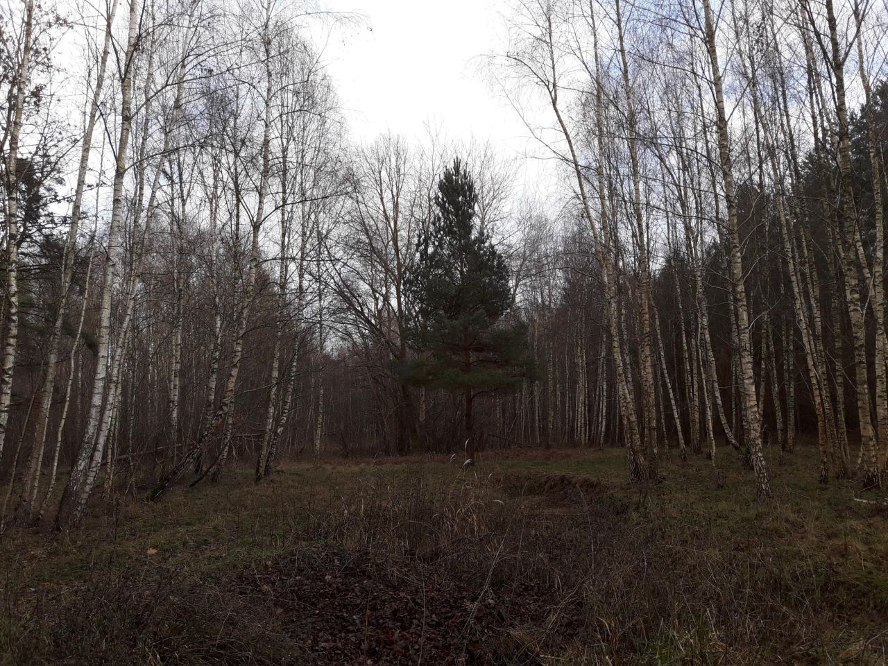 Działka inna Stare Załucze. Zdjęcie 13
