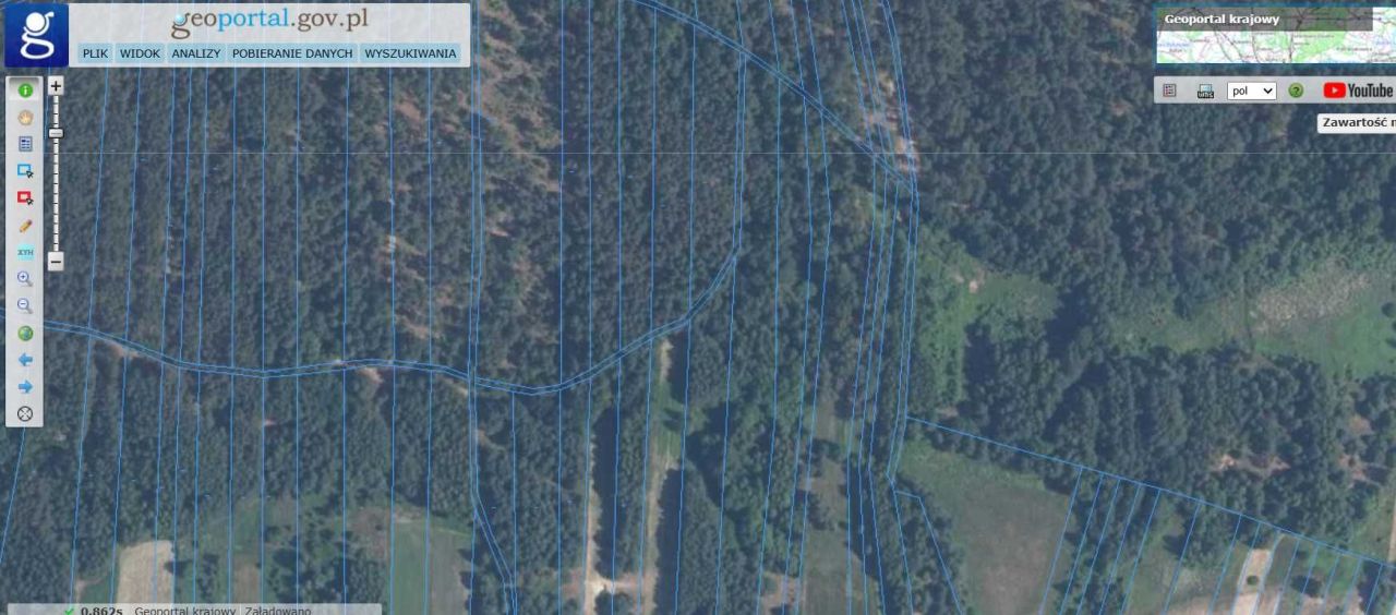 Działka leśna Kurzyna Średnia