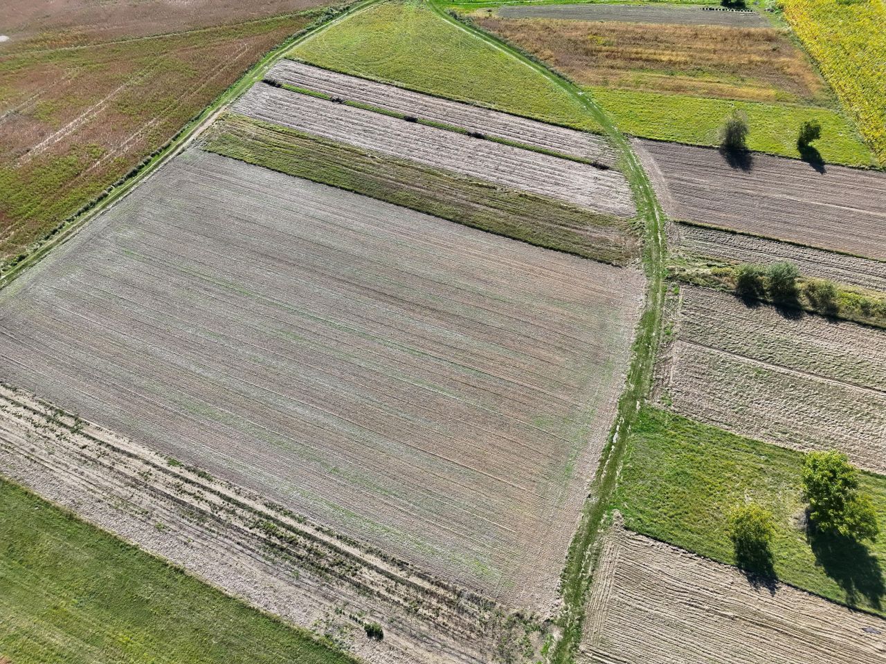 Działka budowlana Milcza, ul. Słoneczna. Zdjęcie 4