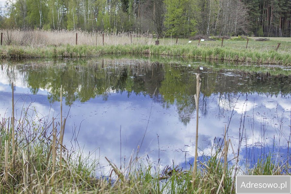 dom wolnostojący Sobolewo, szosa Baranowicka. Zdjęcie 9