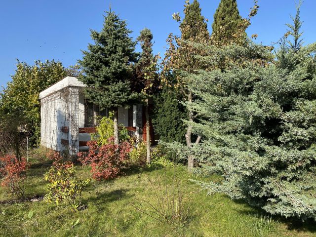 Działka rod Łódź Teofilów, Selerowa 25. Zdjęcie 18