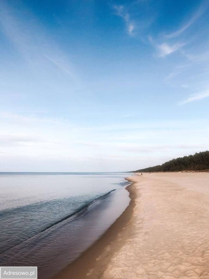dom wolnostojący, 8 pokoi Groszkowo. Zdjęcie 7