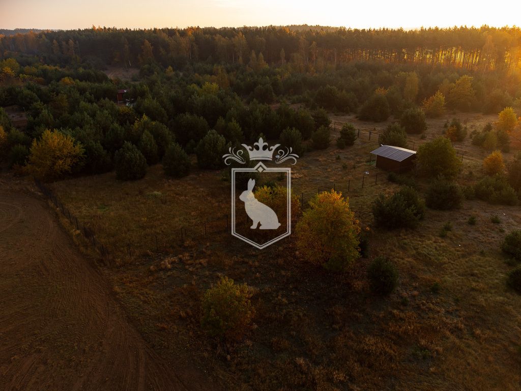 Działka budowlana Gnojno. Zdjęcie 15