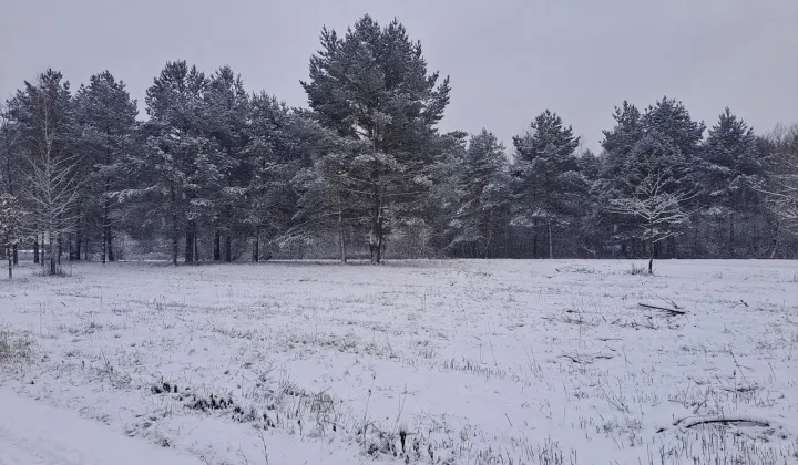 Działka budowlana Duchnów